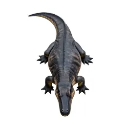 Mosasaurus