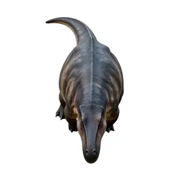 Pachycephalosaurus