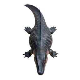 Plesiosaur