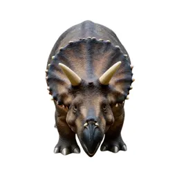Triceratops