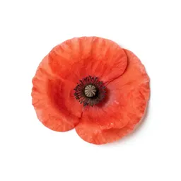 Poppy