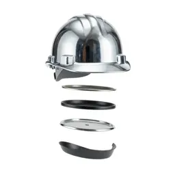 Hard hat