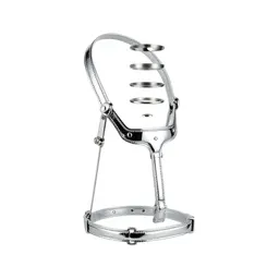 Harness with a handle