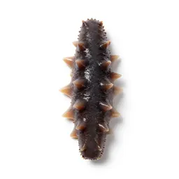 Sea cucumber