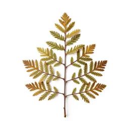 Larch in autumn