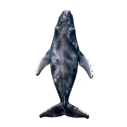 Grey whale