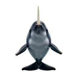 Narwhal