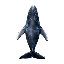 Whale