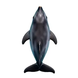 Aquatic mammal