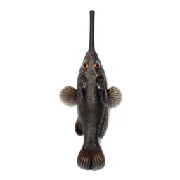 Cornetfish