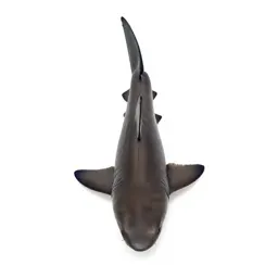 Dogfish