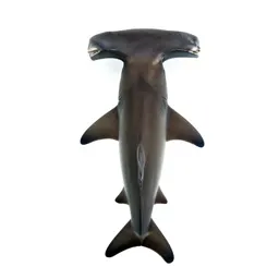 Hammerhead