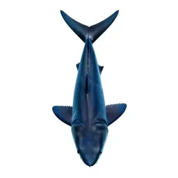 Longfin mako