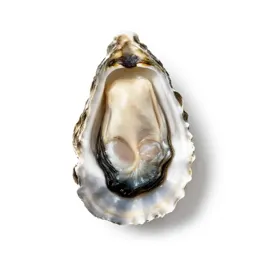 Pearl oyster