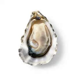 Window oyster