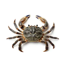 Oyster crab