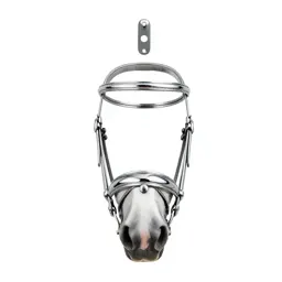 Bridle