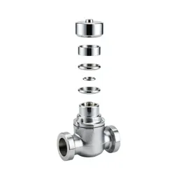 Clack valve