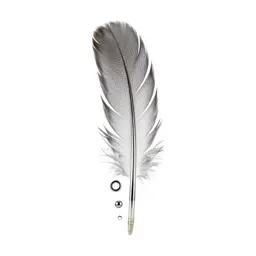 Flight feather