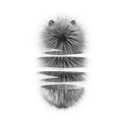 Guard hair