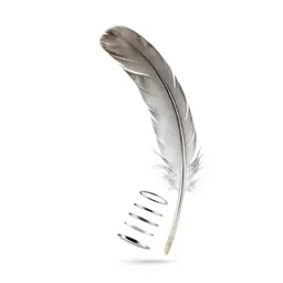 Sickle feather