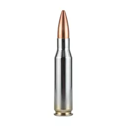 Ammunition