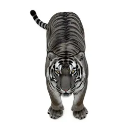 False saber-toothed tiger