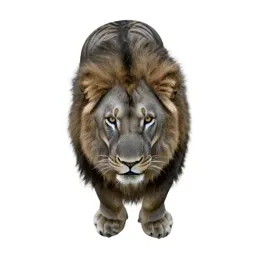 Liger