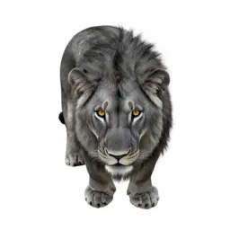 Lionet