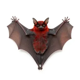 Red bat