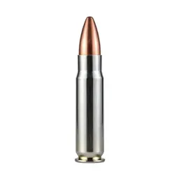 Rubber bullet