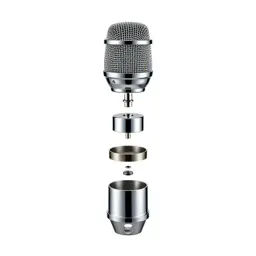 Directional microphone