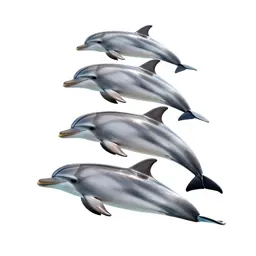 Dolphin striker