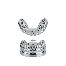 False teeth