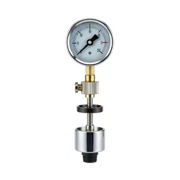 Fuel gauge