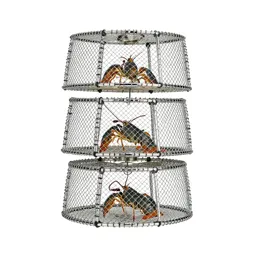 Lobster pot