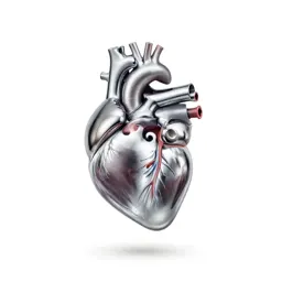 Echocardiograph