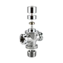 Intake valve