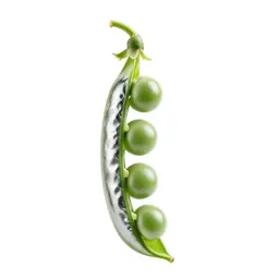 Pea pod