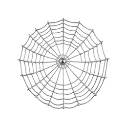 Spider web