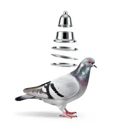 Stool pigeon
