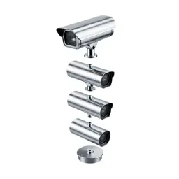 Surveillance system
