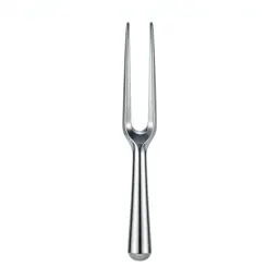 Tuning fork