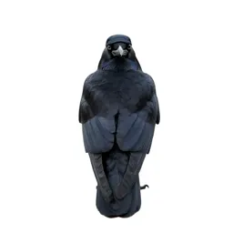 Crow