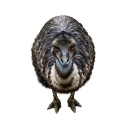 Giant moa