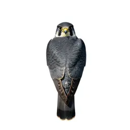 Kestrel