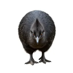 Megapode