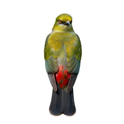 Quetzal