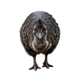 Anomalopteryx