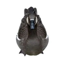 Goose